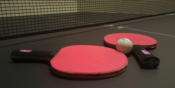 Exploring the world of table tennis