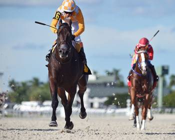 Eyes On the King Eyes Hamilton Stakes Win