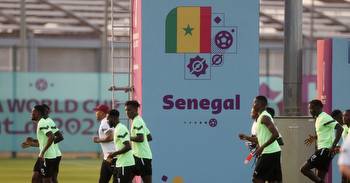 Factbox: Ecuador v Senegal World Cup 2022: kickoff time, venue, stats and odds