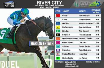 Fair odds: This horse offers value in evenly matched River City