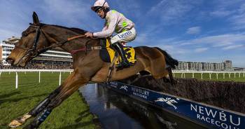 Fairyhouse officials hoping English trained topweight Royale Pagaille lines up in Irish National