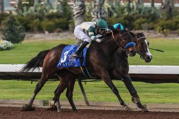 Faiza and Pride of the Nile Face Off in G3 Las Virgenes