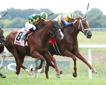 FanDuel Title Sponsor of $1.7M Turf Cup at Ky. Downs