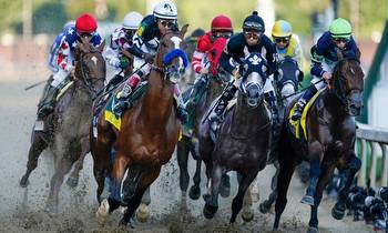 FAQs & Guide: Everything You Need To Know About The Preakness Stakes