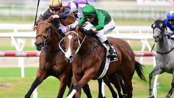 Far Too Easy's Stradbroke Handicap dream after Doomben win