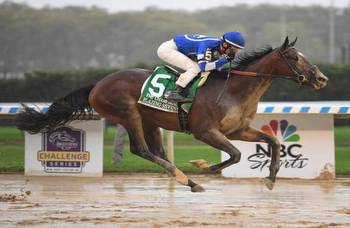 Favor horses with 2-turn form in Breeders' Cup juvenile races