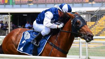Felix The Scat returns from Sydney ‘disaster' for Sires' Produce Stakes