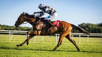 Festival winners in waiting? The Irish novices battling for Grade 1 glory at Fairyhouse this weekend