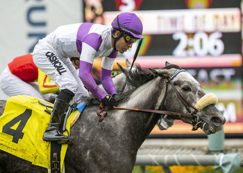 Field Of 8 Set For Rescheduled Del Mar Turf Feature