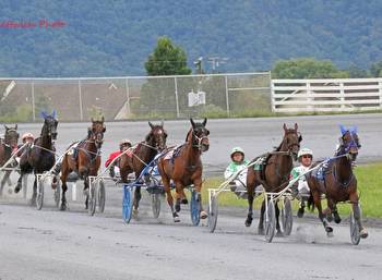 Fields set for $25,000 pace & $25,000 trot