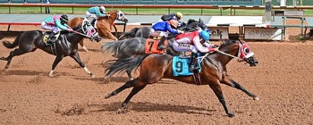 Fields set for quarter horse racing’s richest weekend