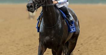 Filly trying to make her name known at Del Mar