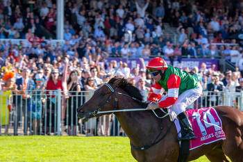 Finalists unveiled for Australian Racehorse of the Year 2022/2023
