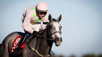 Find out the star names entered at next month's Dublin Racing Festival