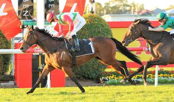 Fireburn Back To Winning Ways In The Roses At Doomben