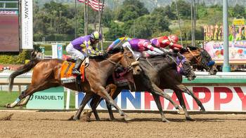 Five Kentucky Derby contenders to watch, including Derma Sotogake