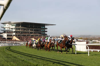 Five runners to follow at Cheltenham's November Meeting