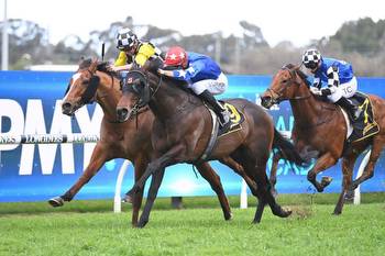 Flame to burn brightly in Cameron Handicap