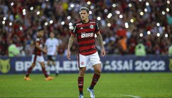 Flamengo vs América-MG Prediction, Betting, Tips, and Odds