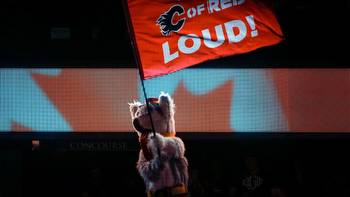 Flames mascot Harvey the Hound rated NHL's worst