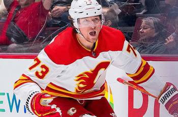 Flames vs Canucks Picks, Predictions, and Odds Tonight