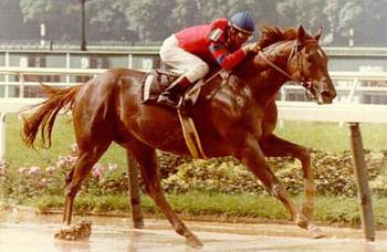 Flashback: Away from Affirmed, Alydar romps in the Whitney