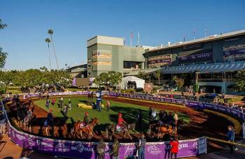 Flatter: We interrupt this cloud for a Breeders’ Cup silver lining