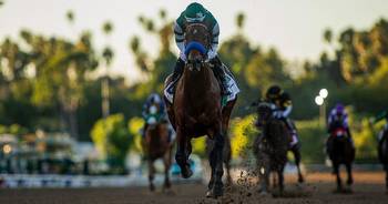 Flightline Brings Undefeated Record to The Breeders' Cup