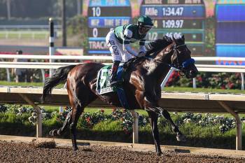 Flightline To Have First Work Since His Pacific Classic Romp