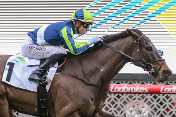 Floating Artist back in winner's stall