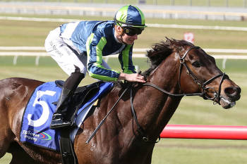 Floating Artist chasing Caulfield Cup start in Coongy