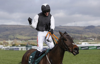 Flooring Porter Missing The Cheltenham Festival Would Be A Huge Blow