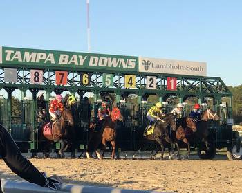 Florida-Breds Get Their Day In The Sun At Tampa Bay Downs This Sunday