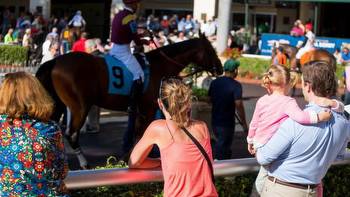 Florida Derby by the Numbers