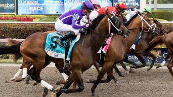 Florida Derby: Time, channel, how to watch Gulfstream Park race