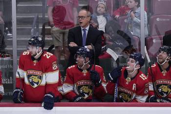 Florida Panthers vs Minnesota Wild: Game Preview, Lines, Odds Predictions, & more