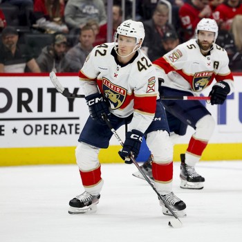 Florida Panthers vs. New Jersey Devils Prediction, Preview, and Odds
