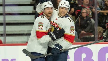 Florida Panthers vs. New York Islanders odds, tips and betting trends
