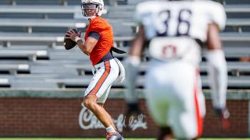 Football: USA TODAY Sports places Payton Thorne low in QB rankings
