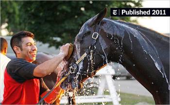 For Kelly Breen, Excitement Times Two for Haskell