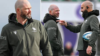 Former Connacht assistant Pete Wilkins has made seamless transition to top job