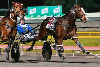 Former Kiwi pacer the forgotten horse in the Victoria Derby