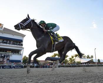 Forte cruises in Fountain of Youth, tops Derby leaderboard * The Racing Biz