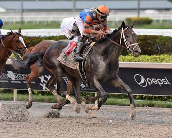 Forte finds another gear, rallies to win the Florida Derby at Gulfstream Park