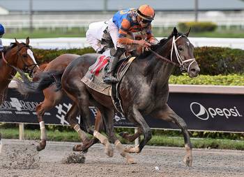 Forte Guts It Out in Curlin Florida Derby
