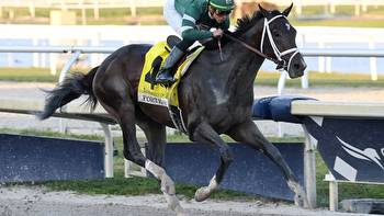 Forte heavily favored in Kentucky Derby Future Wager Pool 6