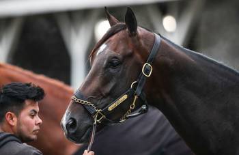 Forte is 3-1 favorite for Kentucky Derby at Churchill Downs