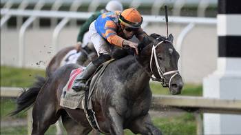 Forte too strong in Florida Derby * The Racing Biz