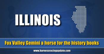 Fox Valley Gemini a horse for the history books