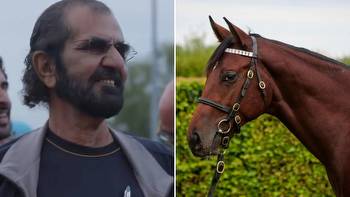 'Frankel lookalike' bought by billionaire Sheikh Mohammed for £2.8m as racing's transfer window hots up